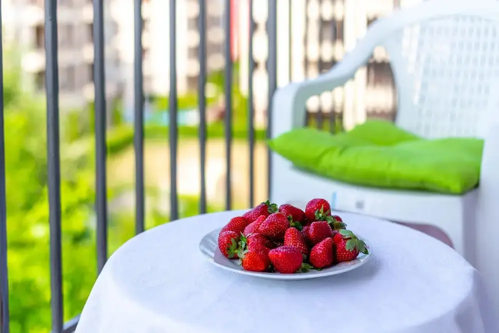 Солнечный берег: Pollo Resort Apartments