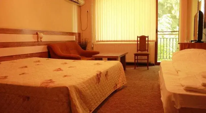 Копривштица: Hotel Sredna Gora