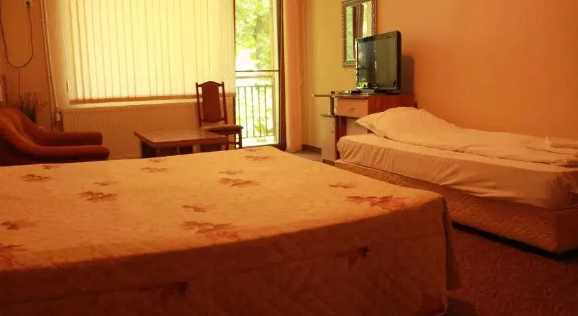 Копривштица: Hotel Sredna Gora