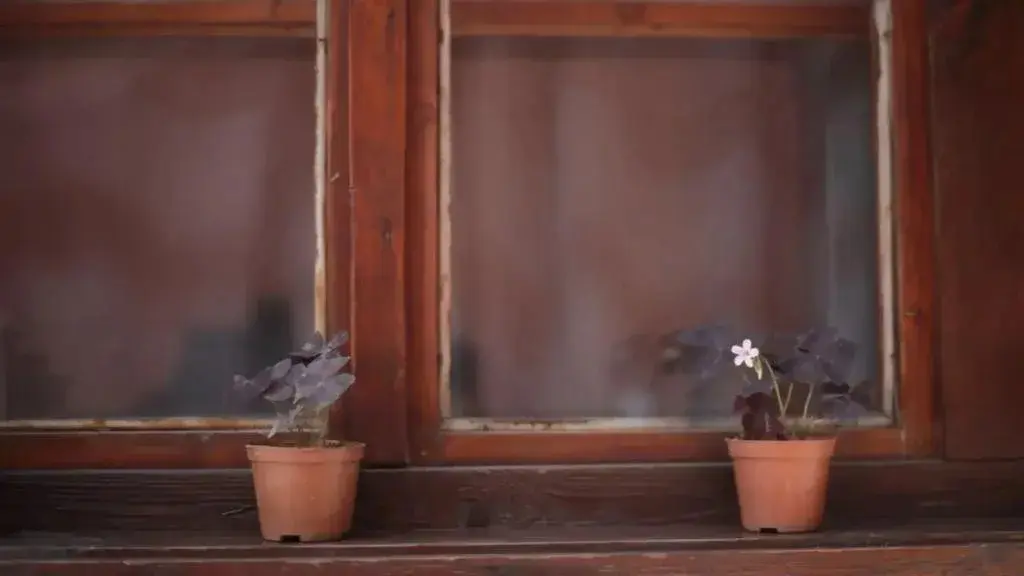 Копривштица: Zlatniyat Telets Guest Rooms