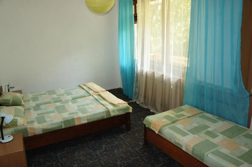 Копривштица: Hotel Cherni Vit