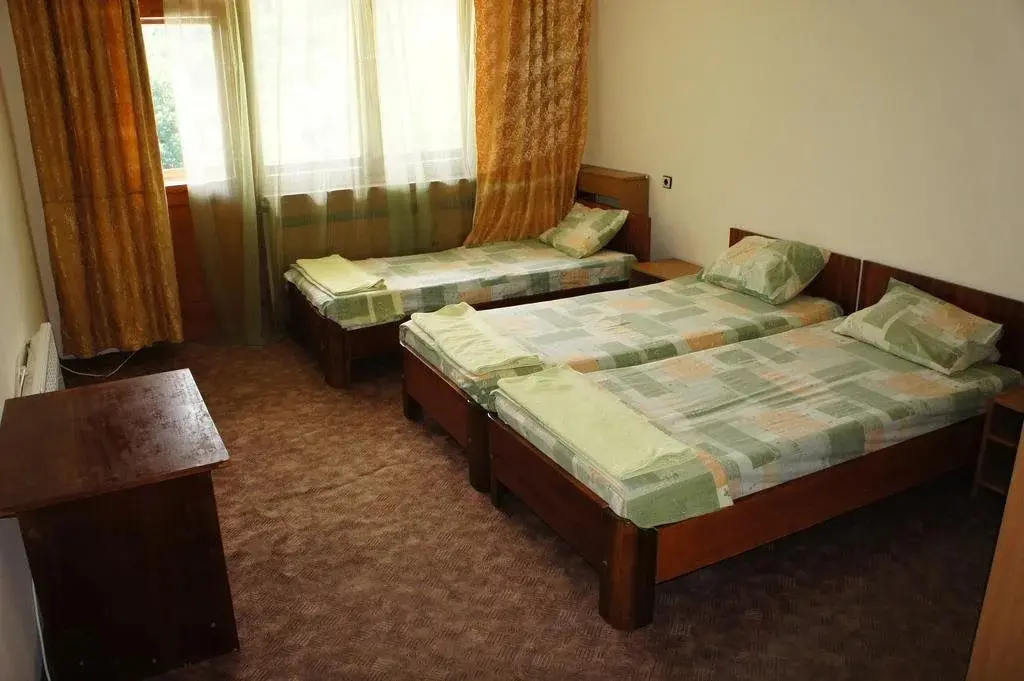Копривштица: Hotel Cherni Vit