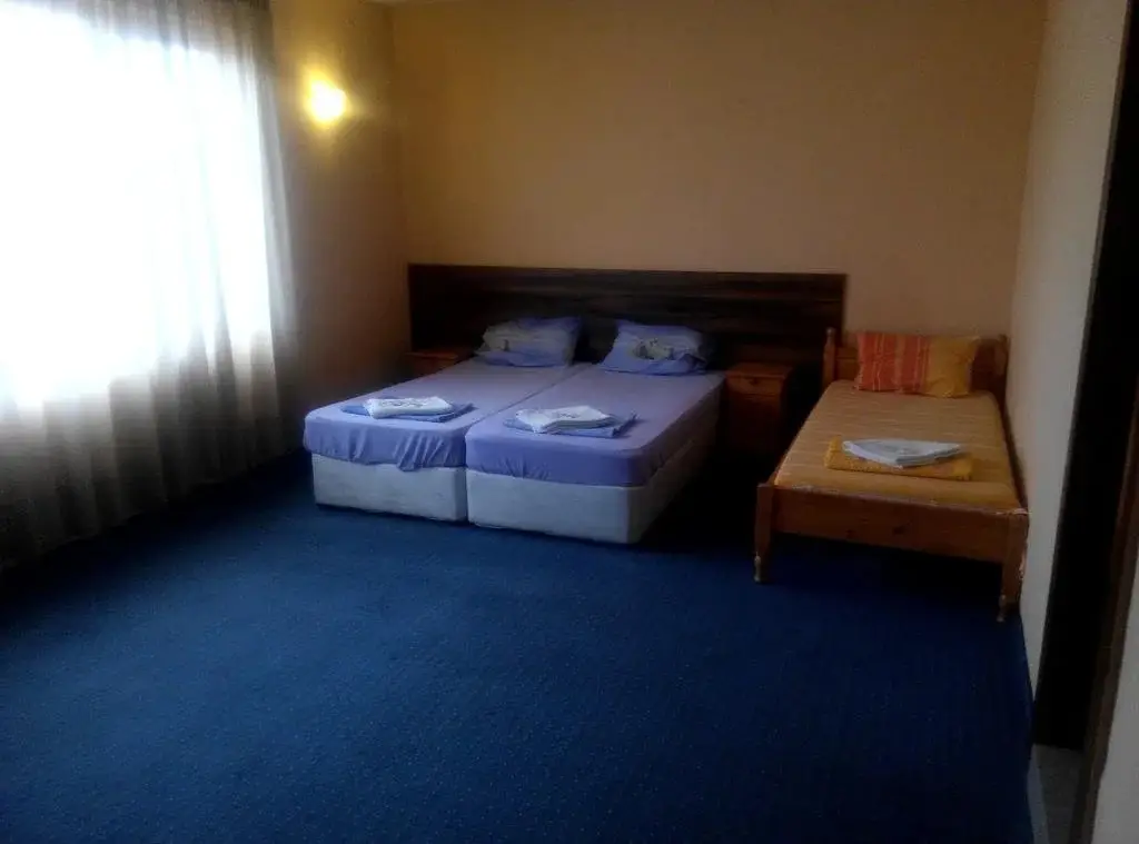 Hotel Gergana — фото 1