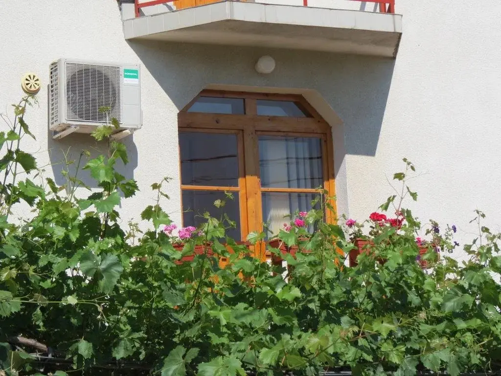 Сапарева баня: Guest House Gyuviyski