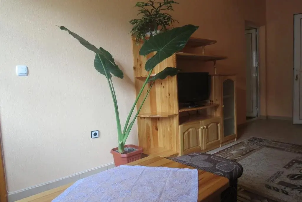 Сапарева баня: Guest House Gyuviyski