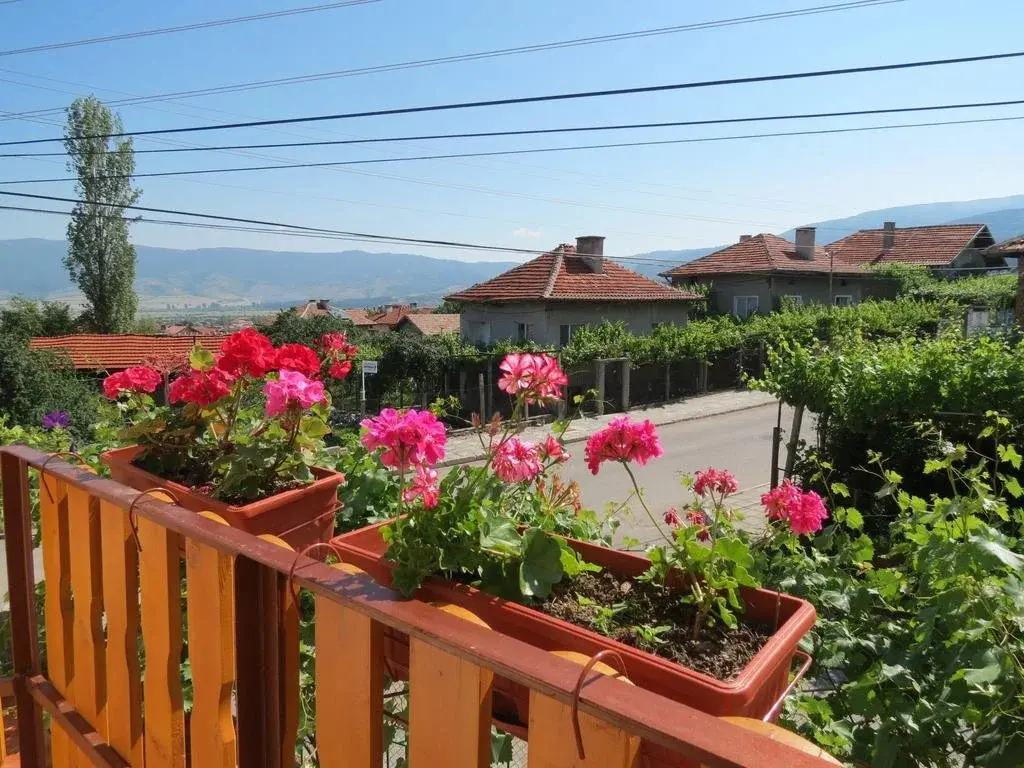 Сапарева баня: Guest House Gyuviyski