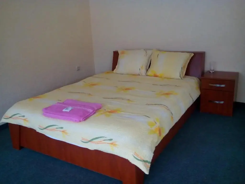 Чепеларе: Family Hotel Drumex