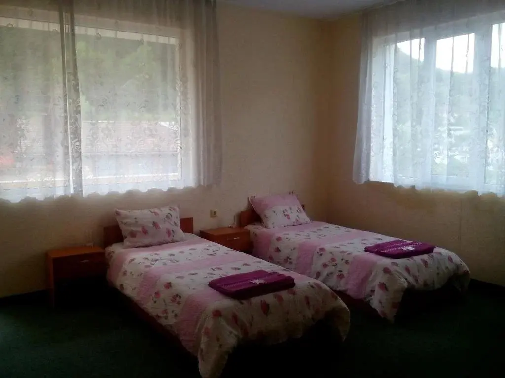 Чепеларе: Family Hotel Drumex