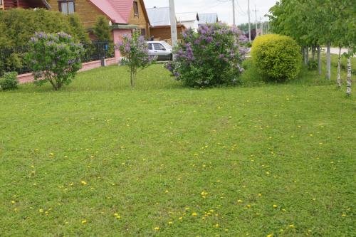 Суздаль: Guest House On Polevaya 26