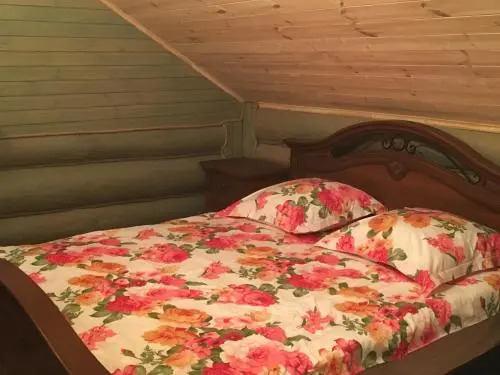 Суздаль: Guest House on Shakhovskogo 35
