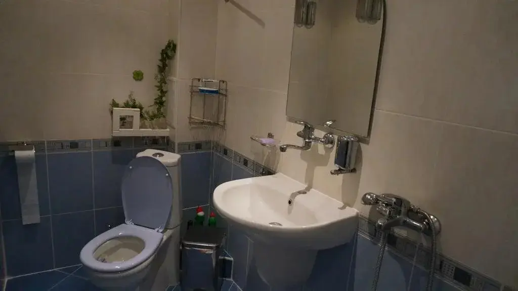 Сапарева баня: Guest House Simona