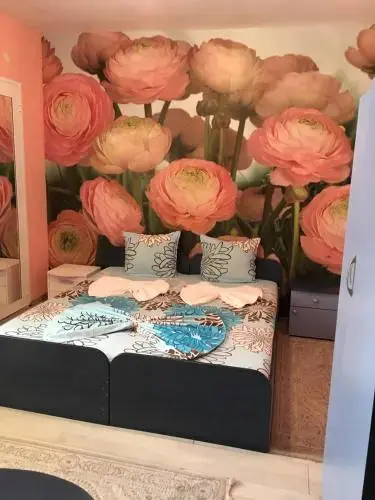 Созополь: Guest House Hristina