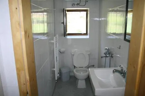 Чепеларе: Guest house Kamenik