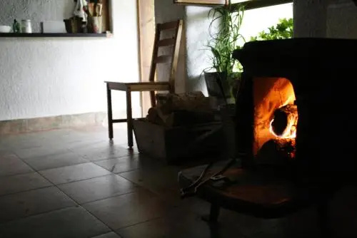 Чепеларе: Guest house Kamenik