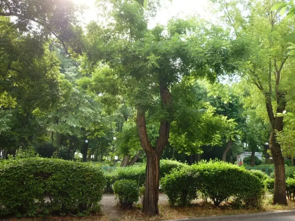 Бургас: Sea Garden Plaza Apartment