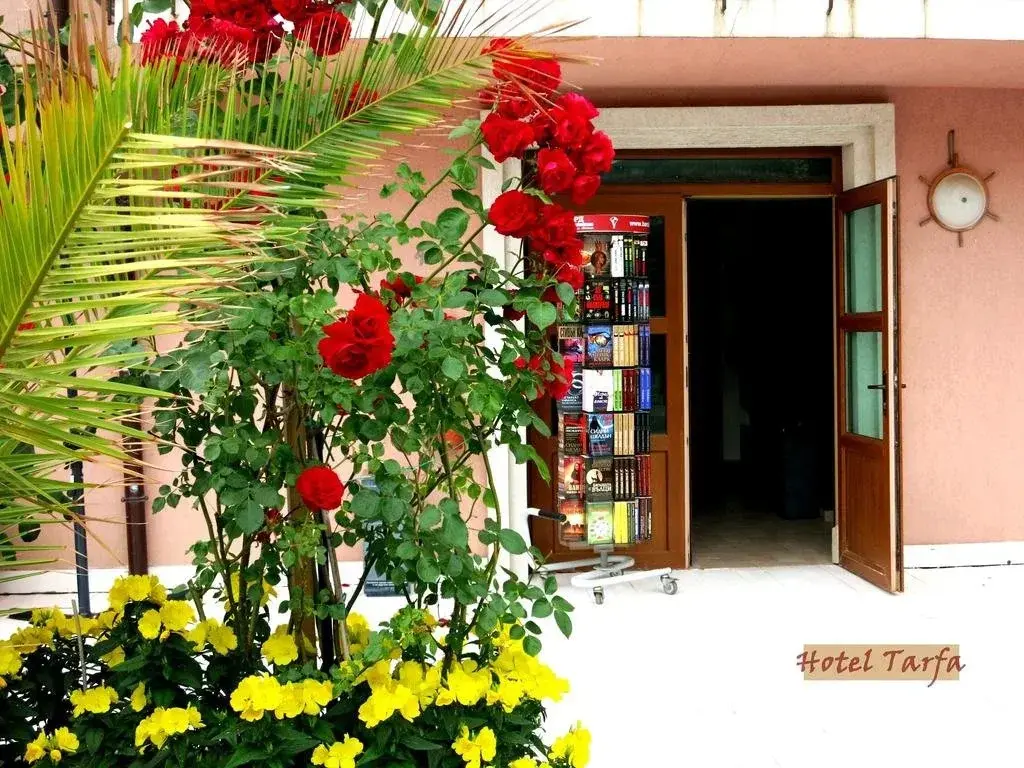 Лозенец: Hotel Tarfa / Hotel Tarfa