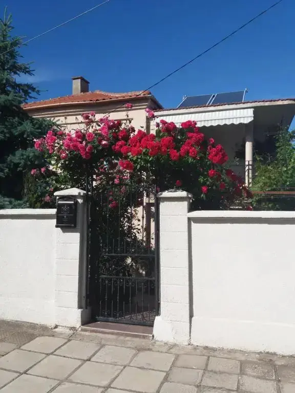 Бяла: Rooms Veska