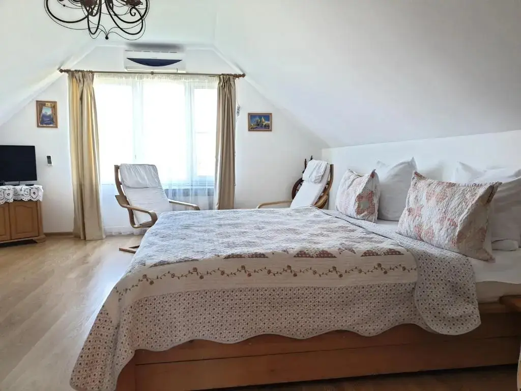 Суздаль: Guest house Usadba Surikova