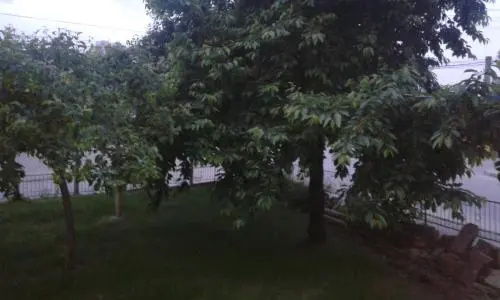 Хисаря: Petrovi Guest House