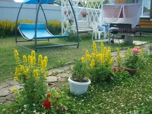 Суздаль: Guesthouse Skazka