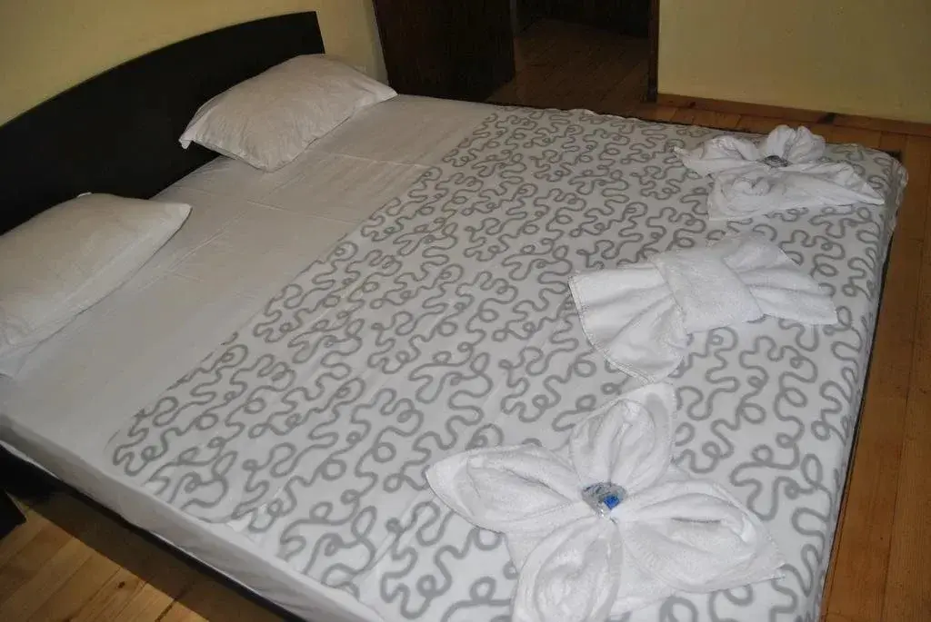 Банско: Hotel Mountain View