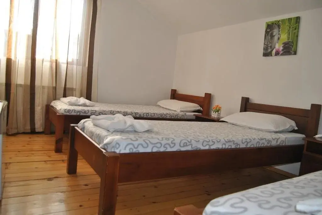 Банско: Hotel Mountain View