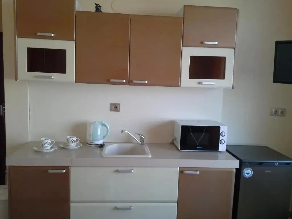 Обзор: Family Hotel Alegra