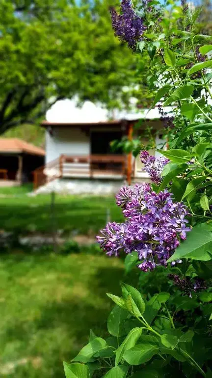 Дупница: Kirilova House