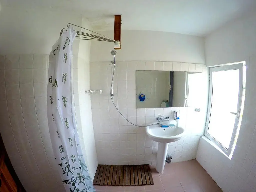 Пловдив: Funky Monkey Hostel
