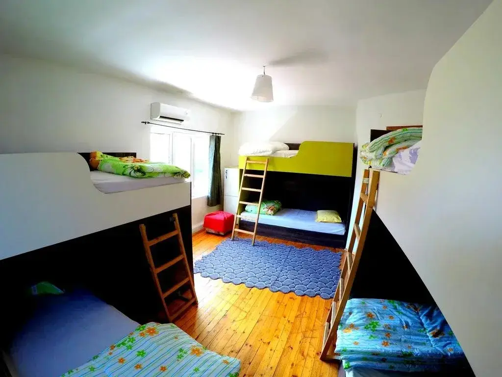 Пловдив: Funky Monkey Hostel