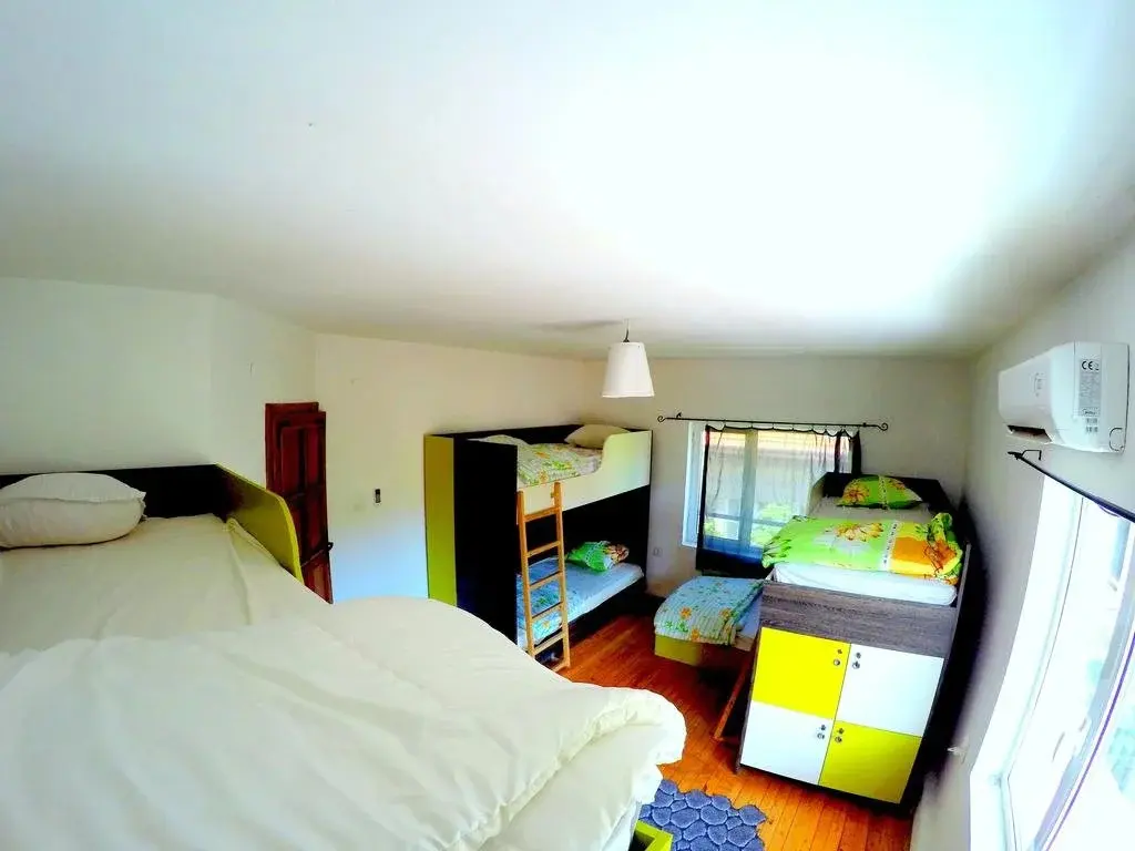 Пловдив: Funky Monkey Hostel
