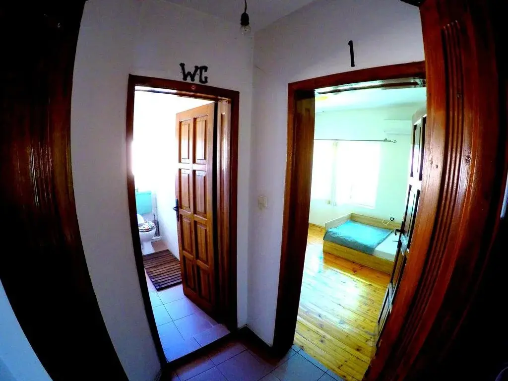 Пловдив: Funky Monkey Hostel