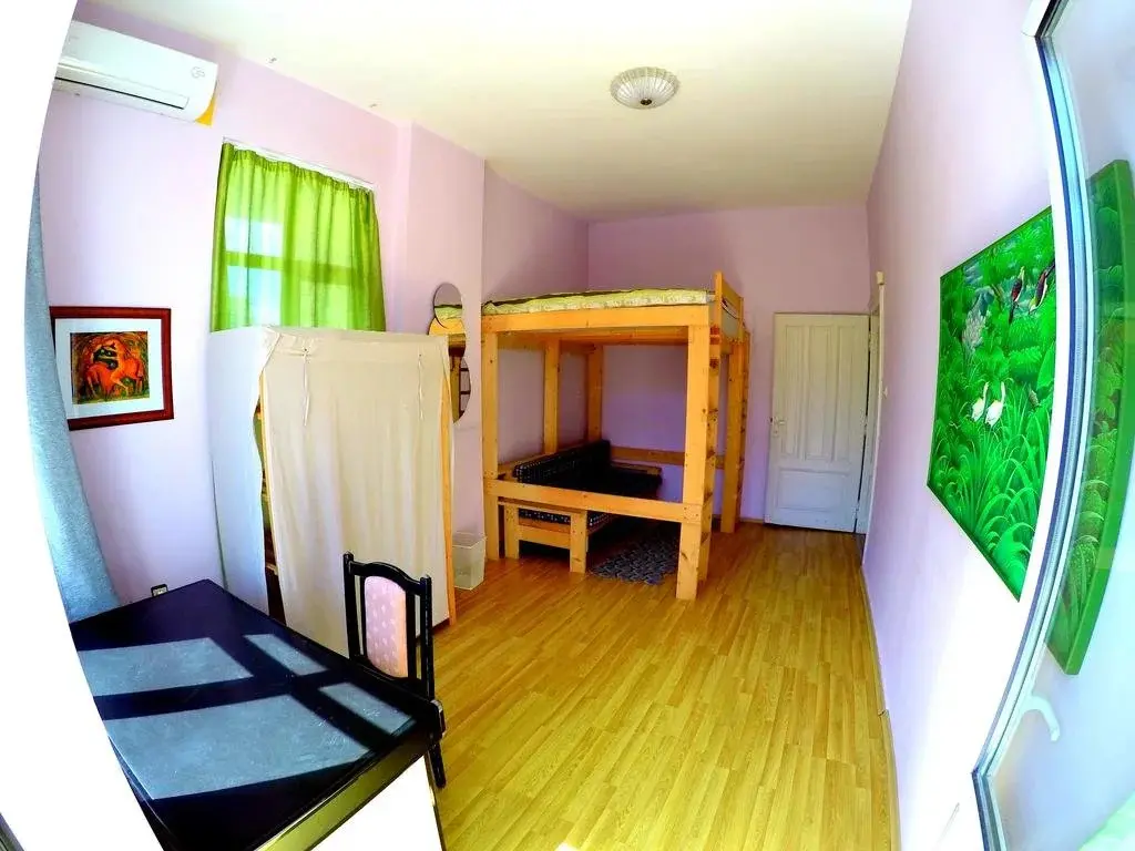 Пловдив: Funky Monkey Hostel
