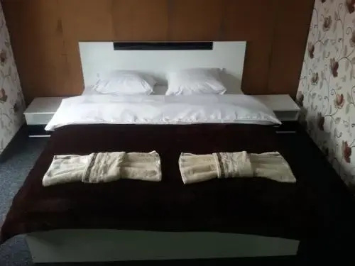 Сапарева баня: Guest house Tedi