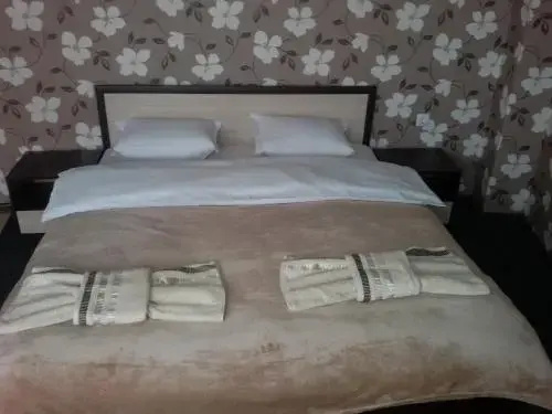 Сапарева баня: Guest house Tedi