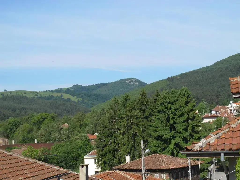 Сливен: Guest House Lefterova