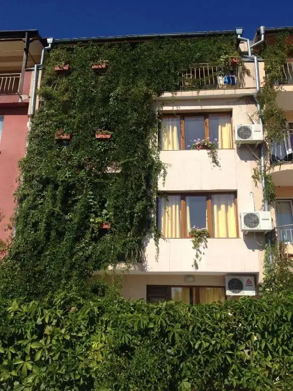 Несебр: Guest House Maria