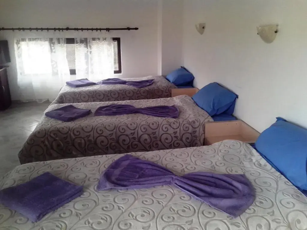 Созополь: Morski Horizonti Guest House