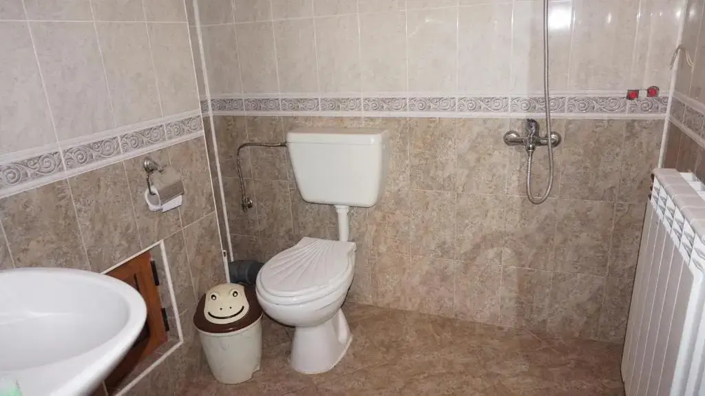 Троян: Pamir Guest House