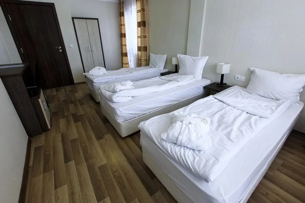 Долна баня: Hotel Nikol - Dolna Banya