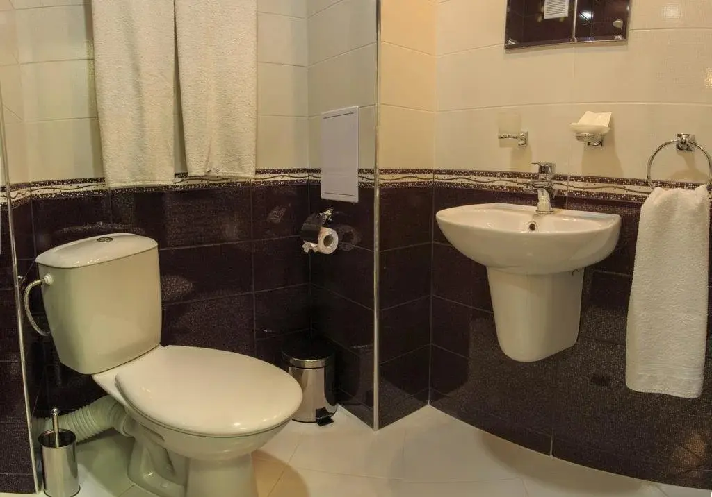 Долна баня: Hotel Nikol - Dolna Banya
