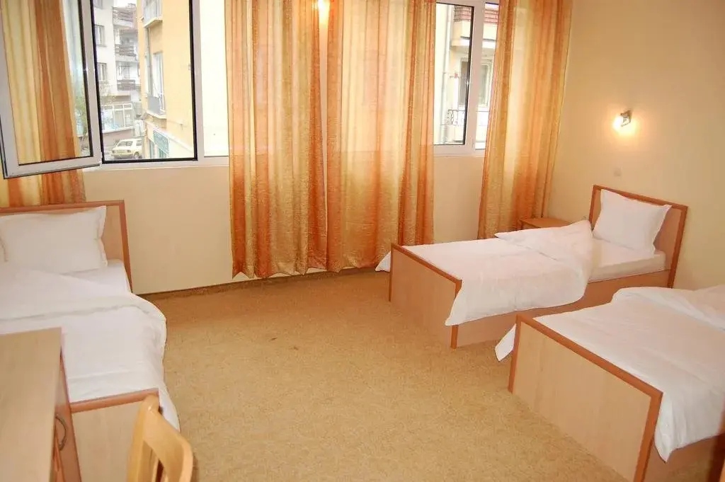 Трявна: Hotel Vitosha