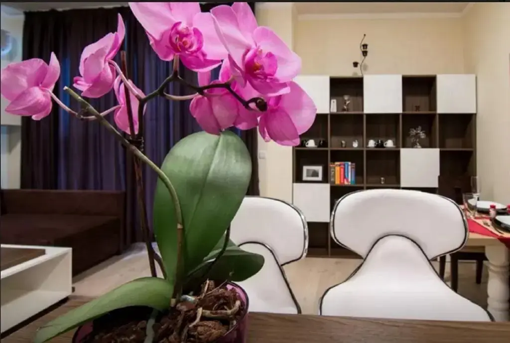 Бургас: Super Central Luxury Apartments