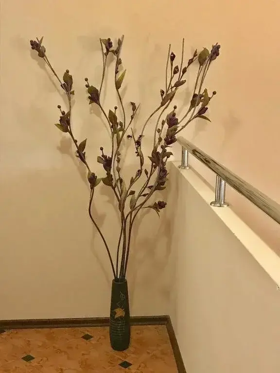 Шумен: Zoti Hotel