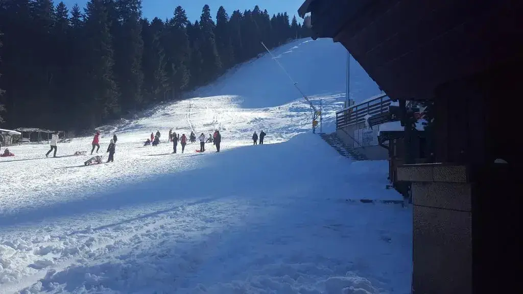 Самоков: Family Hotel Forest Star