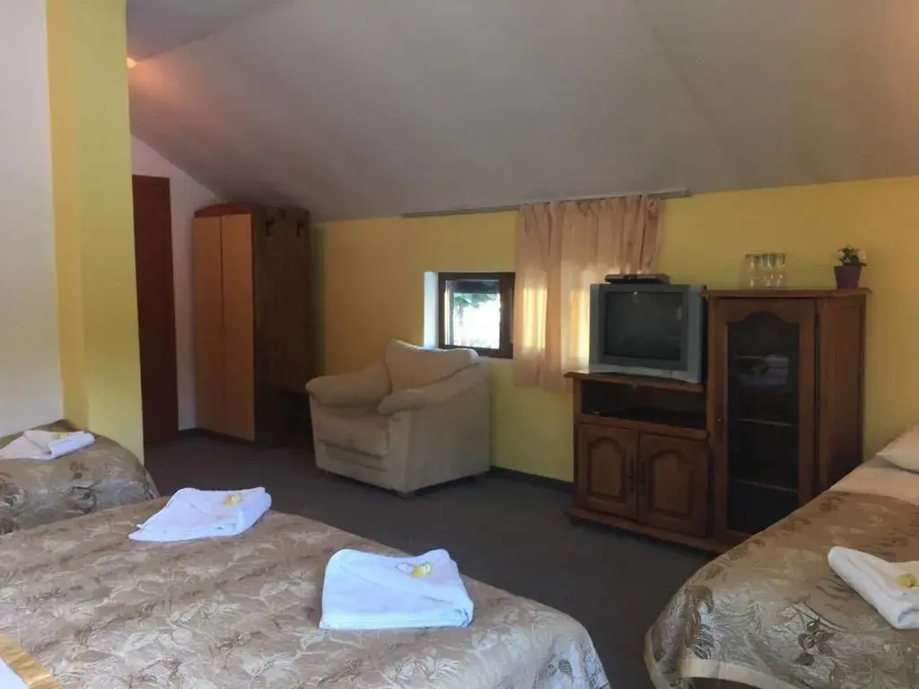 Самоков: Family Hotel Forest Star