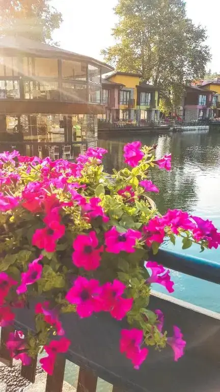 Огняново: Waterside Houses