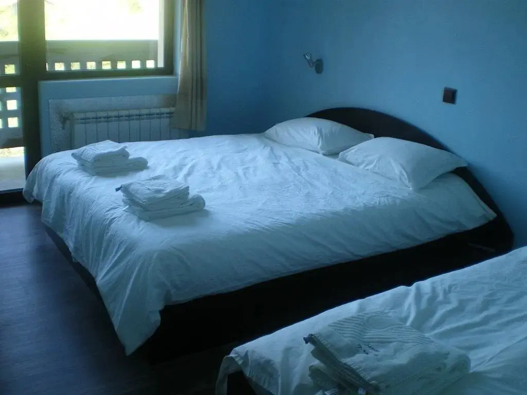 Троян: Hotel Balkana