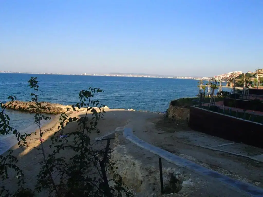 Елените: Marina Fort Noks Studio