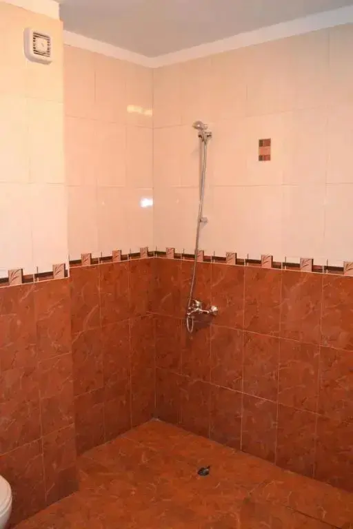 София: Apartment Secession Style